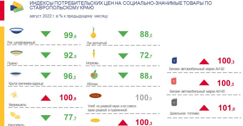 Индексы потребительских цен на социально-значимые товары по Ставропольскому краю в августе 2022 г.